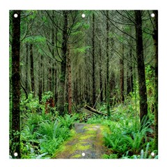 Forest Woods Nature Landscape Tree Banner And Sign 4  X 4  by Celenk