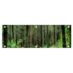 Forest Woods Nature Landscape Tree Banner And Sign 6  X 2  by Celenk