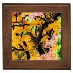 Japan Garden Color Tree Zen Framed Tile by Wegoenart