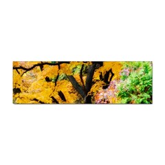 Japan Garden Color Tree Zen Sticker Bumper (10 Pack) by Wegoenart