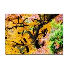 Japan Garden Color Tree Zen Sticker A4 (10 Pack) by Wegoenart