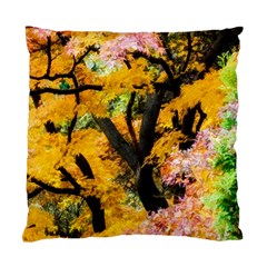 Japan Garden Color Tree Zen Standard Cushion Case (one Side) by Wegoenart