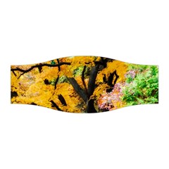 Japan Garden Color Tree Zen Stretchable Headband