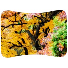 Japan Garden Color Tree Zen Velour Seat Head Rest Cushion by Wegoenart