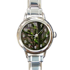 Tree Moss Forest Bark Wood Trunk Round Italian Charm Watch by Wegoenart