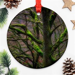 Tree Moss Forest Bark Wood Trunk Ornament (round) by Wegoenart