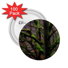 Tree Moss Forest Bark Wood Trunk 2 25  Buttons (100 Pack)  by Wegoenart