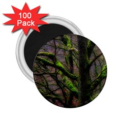 Tree Moss Forest Bark Wood Trunk 2 25  Magnets (100 Pack)  by Wegoenart