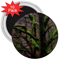 Tree Moss Forest Bark Wood Trunk 3  Magnets (10 Pack)  by Wegoenart