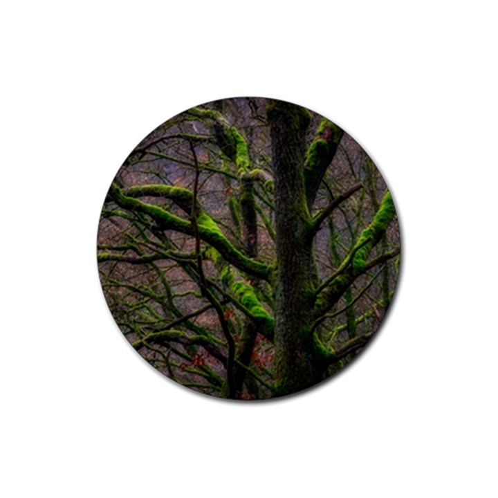 Tree Moss Forest Bark Wood Trunk Rubber Round Coaster (4 pack)