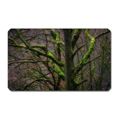 Tree Moss Forest Bark Wood Trunk Magnet (rectangular) by Wegoenart