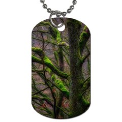 Tree Moss Forest Bark Wood Trunk Dog Tag (one Side) by Wegoenart