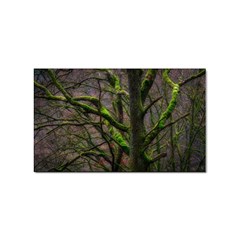 Tree Moss Forest Bark Wood Trunk Sticker Rectangular (100 Pack) by Wegoenart