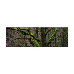 Tree Moss Forest Bark Wood Trunk Sticker Bumper (100 Pack) by Wegoenart