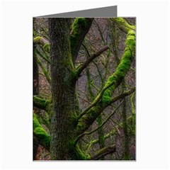 Tree Moss Forest Bark Wood Trunk Greeting Card by Wegoenart