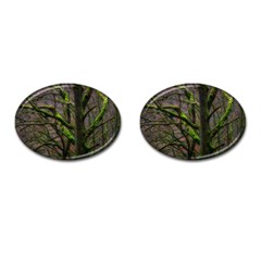 Tree Moss Forest Bark Wood Trunk Cufflinks (oval) by Wegoenart