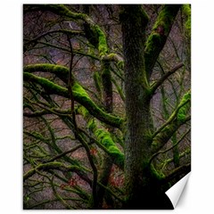 Tree Moss Forest Bark Wood Trunk Canvas 16  X 20  by Wegoenart