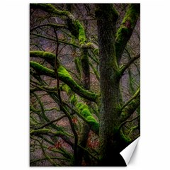 Tree Moss Forest Bark Wood Trunk Canvas 20  X 30  by Wegoenart