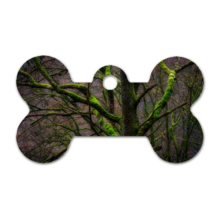 Tree Moss Forest Bark Wood Trunk Dog Tag Bone (One Side)