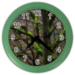 Tree Moss Forest Bark Wood Trunk Color Wall Clock by Wegoenart