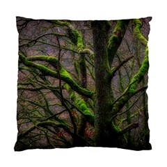 Tree Moss Forest Bark Wood Trunk Standard Cushion Case (two Sides) by Wegoenart