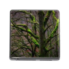 Tree Moss Forest Bark Wood Trunk Memory Card Reader (square 5 Slot) by Wegoenart