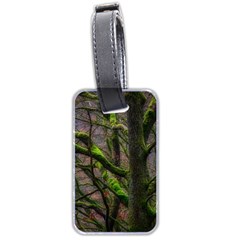 Tree Moss Forest Bark Wood Trunk Luggage Tag (two Sides) by Wegoenart