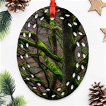 Tree Moss Forest Bark Wood Trunk Oval Filigree Ornament (Two Sides) Front