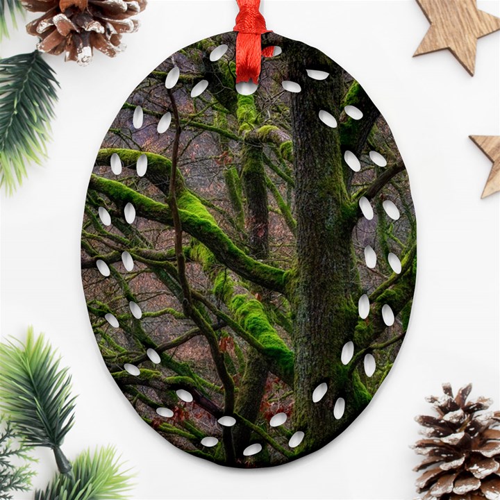 Tree Moss Forest Bark Wood Trunk Oval Filigree Ornament (Two Sides)