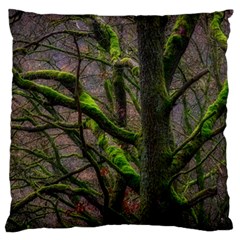 Tree Moss Forest Bark Wood Trunk Large Cushion Case (one Side) by Wegoenart