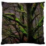 Tree Moss Forest Bark Wood Trunk Large Cushion Case (One Side) Front