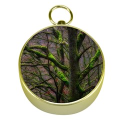 Tree Moss Forest Bark Wood Trunk Gold Compasses by Wegoenart