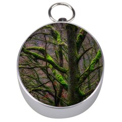 Tree Moss Forest Bark Wood Trunk Silver Compasses by Wegoenart