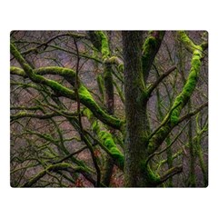 Tree Moss Forest Bark Wood Trunk Double Sided Flano Blanket (large)  by Wegoenart