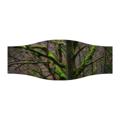 Tree Moss Forest Bark Wood Trunk Stretchable Headband