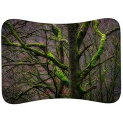 Tree Moss Forest Bark Wood Trunk Velour Seat Head Rest Cushion by Wegoenart