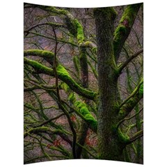 Tree Moss Forest Bark Wood Trunk Back Support Cushion by Wegoenart