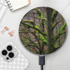 Tree Moss Forest Bark Wood Trunk Wireless Charger by Wegoenart