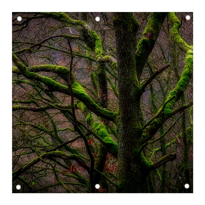 Tree Moss Forest Bark Wood Trunk Banner and Sign 3  x 3 