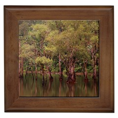 Landscape Jungle Reflection Nature Framed Tile by Wegoenart