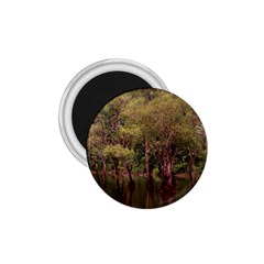 Landscape Jungle Reflection Nature 1 75  Magnets by Wegoenart