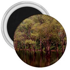 Landscape Jungle Reflection Nature 3  Magnets by Wegoenart