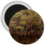 Landscape Jungle Reflection Nature 3  Magnets Front