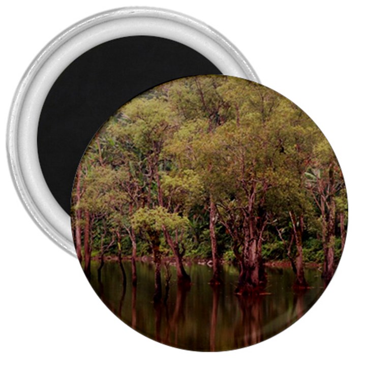 Landscape Jungle Reflection Nature 3  Magnets