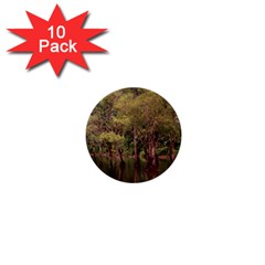 Landscape Jungle Reflection Nature 1  Mini Buttons (10 Pack)  by Wegoenart