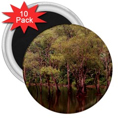 Landscape Jungle Reflection Nature 3  Magnets (10 Pack)  by Wegoenart