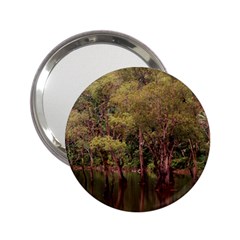 Landscape Jungle Reflection Nature 2 25  Handbag Mirrors