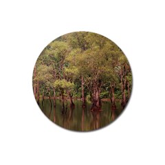 Landscape Jungle Reflection Nature Magnet 3  (round) by Wegoenart