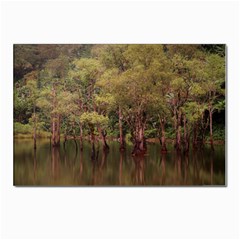 Landscape Jungle Reflection Nature Postcard 4 x 6  (pkg Of 10) by Wegoenart