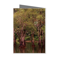 Landscape Jungle Reflection Nature Mini Greeting Cards (pkg Of 8) by Wegoenart